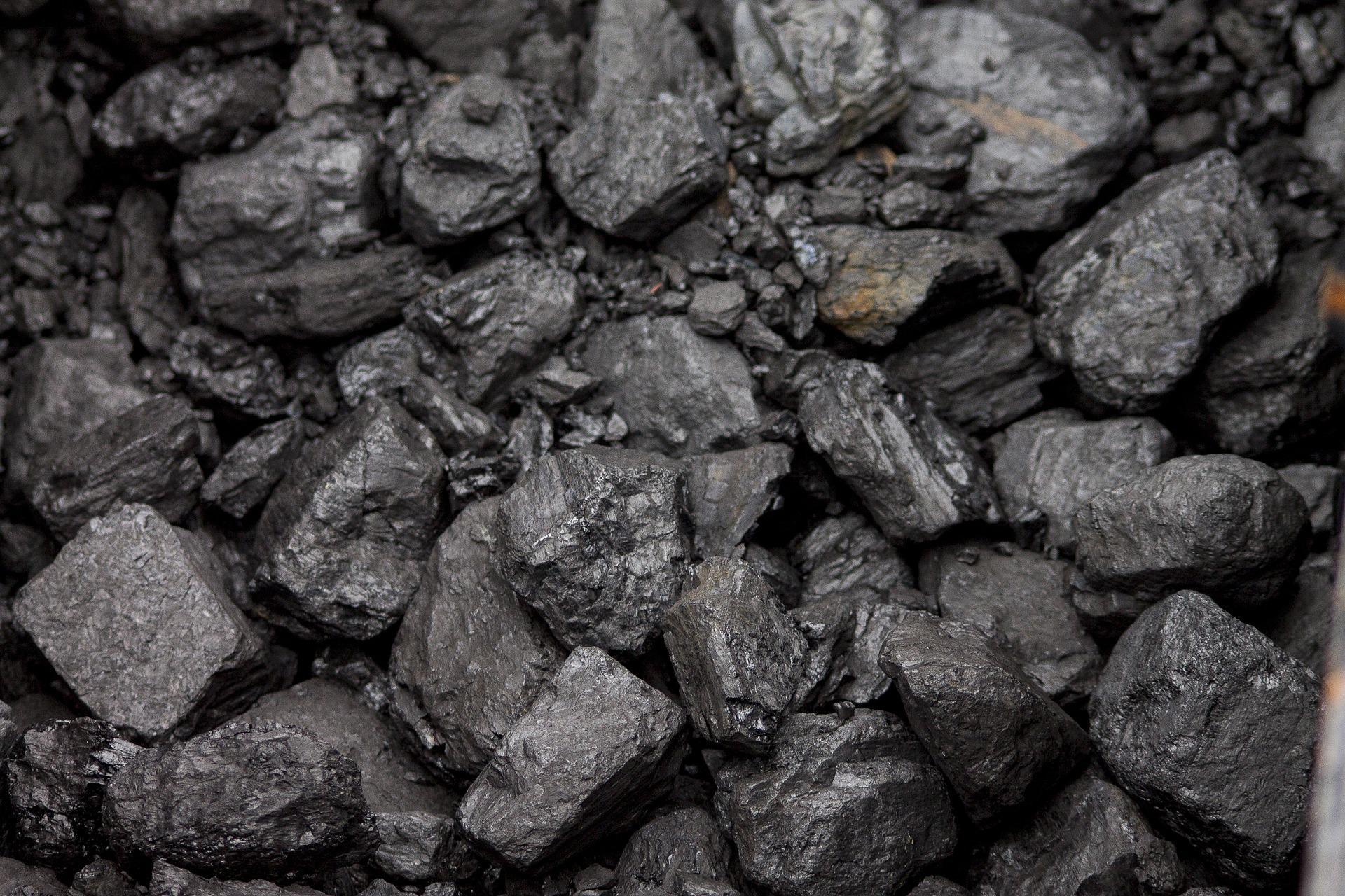 Zakup węgla z PGG
